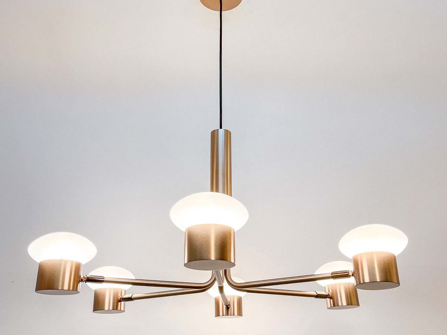 Lustre Lis com 6 braços - Studio Munclair - 1269-6